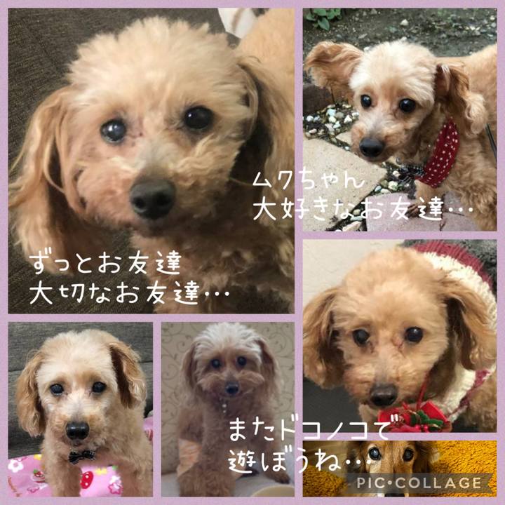 7e5c7c08 a245 4302 85ed b570f033a158 1668946406742