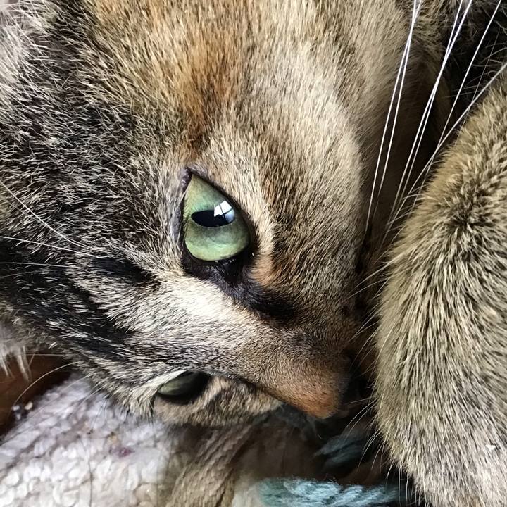 7e5c8cb8 a445 4a9e 962b 37ba9a6ebd52 1579321046310