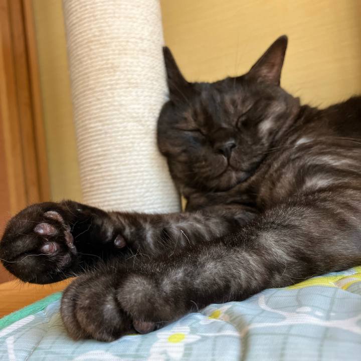 7e5caac8 8660 47d0 ab48 c218ad460ff4 1759015590724