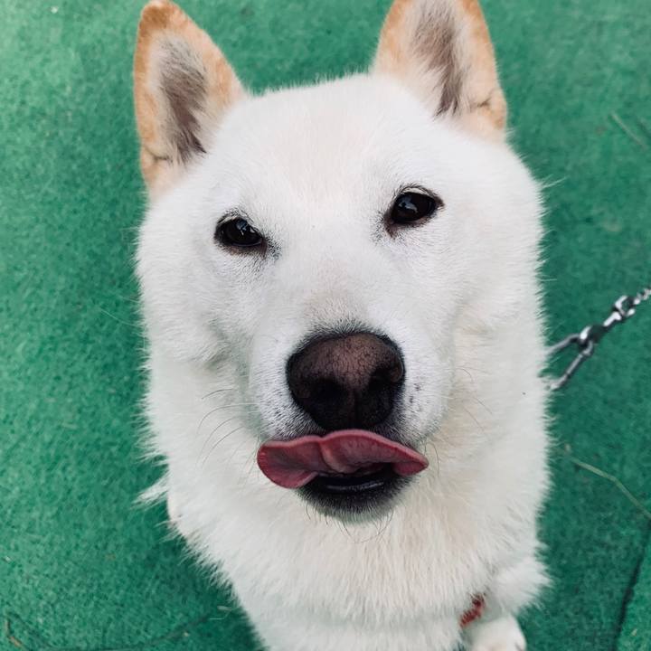 7e5cb050 61d0 4e69 9bf7 6b02ba77c518 1562621716411