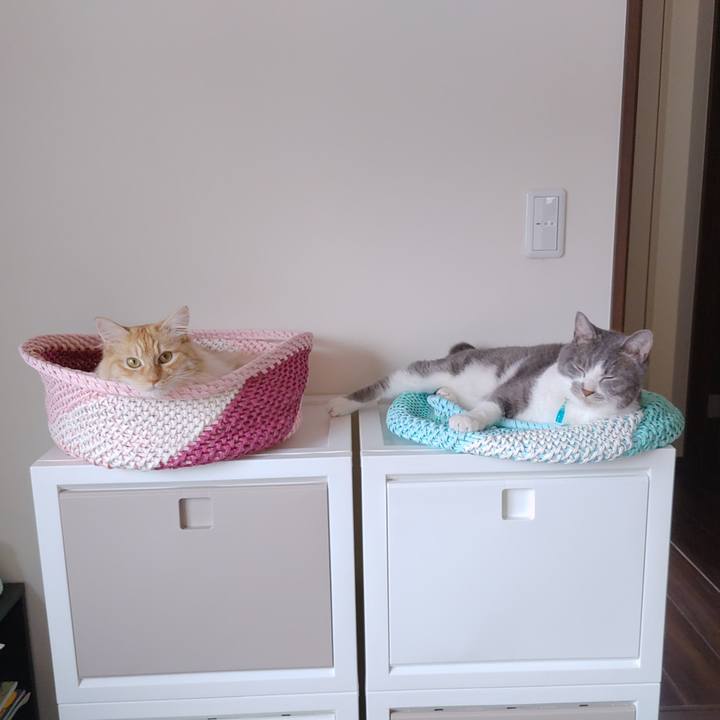 7e5ce511 2234 4e42 b696 c46e9eaccaa0 1654907602830