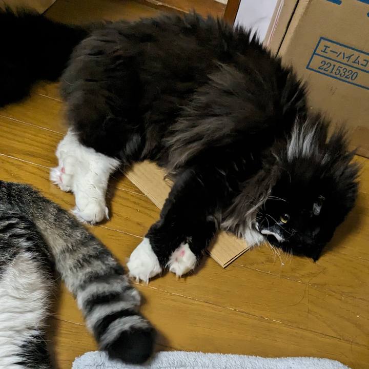 7e5d0c3d ac8b 48ea 9013 870415ee1631 1689765959151