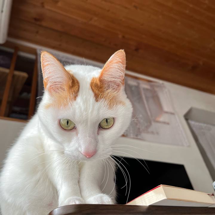 7e5d18b7 9023 485b b557 b3be0c8e2ea4 1770643978259