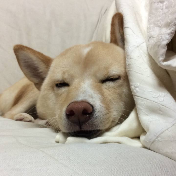 7e5d2202 4b3d 4480 81e1 247e986a47f5 1509109745670