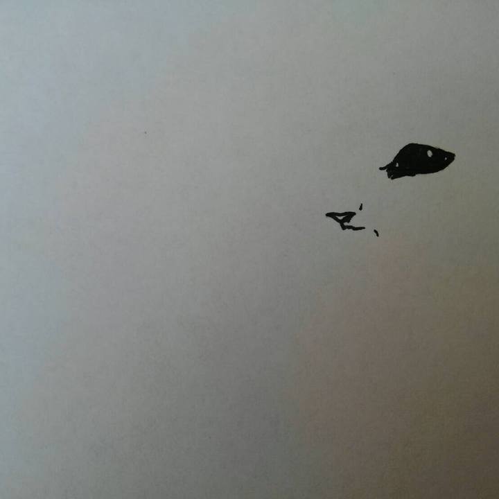 7e5d5495 63bc 4163 ad46 b677f3345f3d 1569420108397