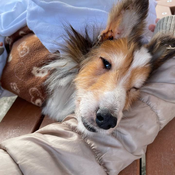 7e5d5ff6 eef3 46a9 ba27 89d058dfcb48 1668846137069