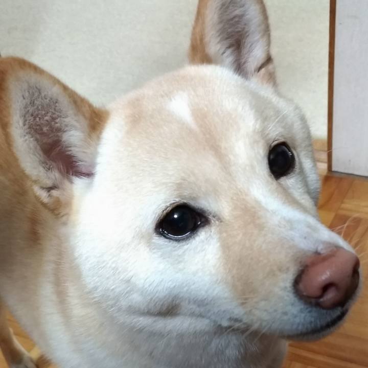 7e5d81cd f9bb 4cda af71 bfe61350a21e 1551955166813