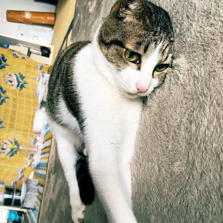 7e5d8c73 a45e 45a6 b545 1cf5f7120dc1 1546250183670