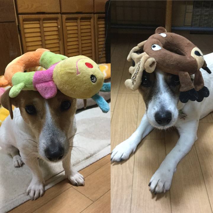 7e5da36a 683e 4e02 9492 fde9f1e059ca 1549619603738