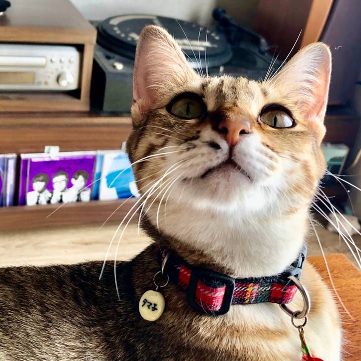 7e5dbb75 e05d 482a bc96 a85f30afcc27 1601514673977