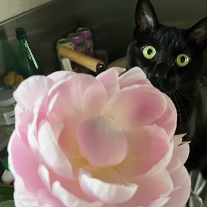 7e5dbe5d c6c5 4964 9d59 7aa48c0be93c 1716601892077