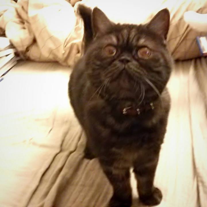 7e5dfbbe 24df 411b a557 4c9e1cd3c1b3 1510925110353