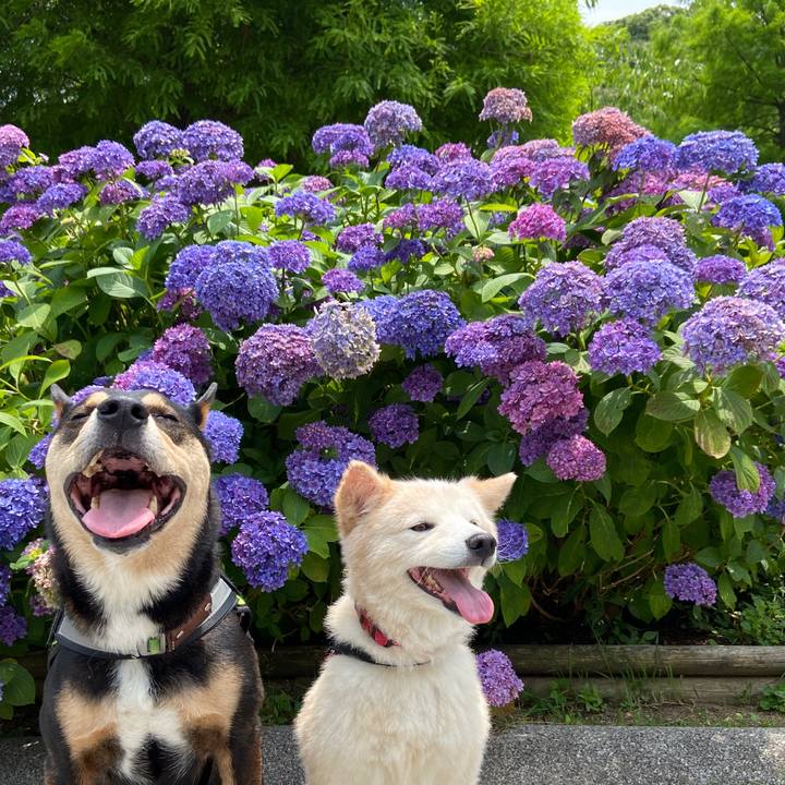 7e5e1150 c104 4014 869e 76642799c45c 1655641160516