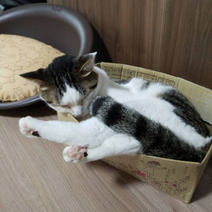 7e5e3e82 dee6 4473 89b0 a31dfb7be0c7 1595455111914