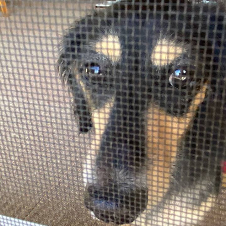 7e5e8aec ffff 4c48 9a68 871fa1fb8a94 1696545853936