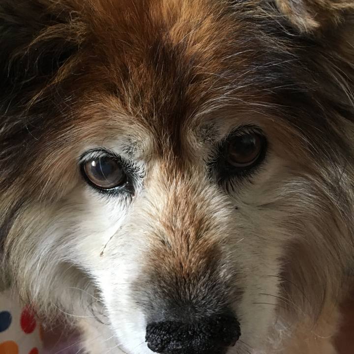 7e5e8be6 b9aa 43e2 bac4 4f5b24d5bf52 1616202909980