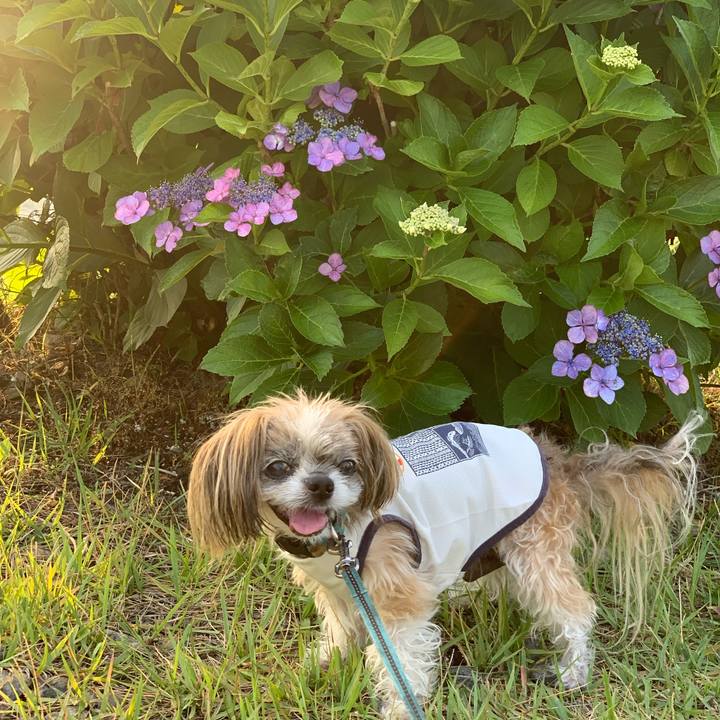 7e5ea490 d946 4536 8116 dc1687c2544c 1751891367622