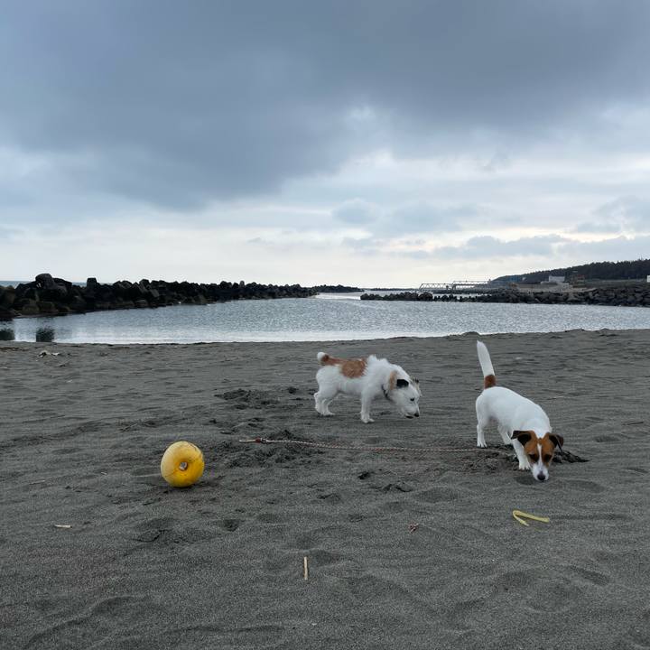 7e5ea506 fb07 45cc 9dde 688087fa4c1e 1650587527820