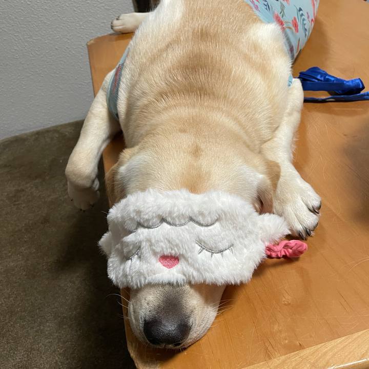 7e5ede5d 87f2 4855 8b81 64faff699d7b 1627609318907