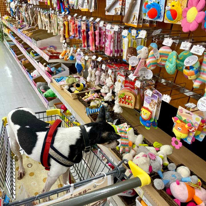 7e5f4d9a 8282 4447 8745 0930a42b7e47 1588728629861