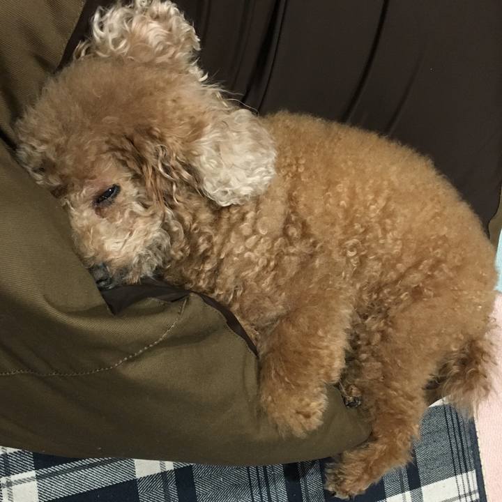 7e5f4f10 de9e 4acb b729 180678d5df05 1524747942403