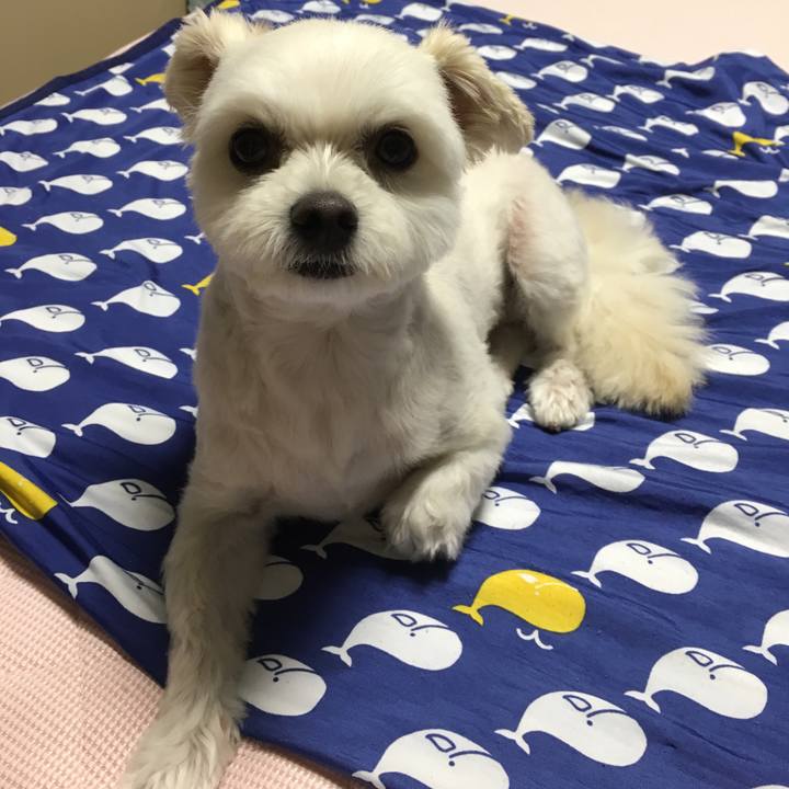 7e5f67a4 999f 494e 942a 09ba598bb5c3 1533812190863