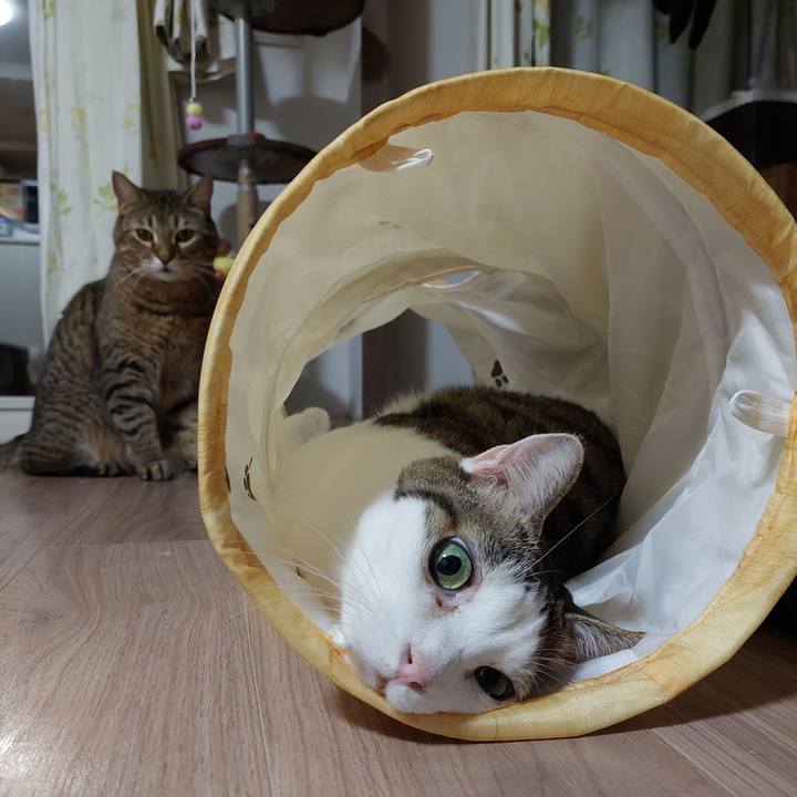 7e5f6903 705c 491e a04c c93bf6d2367e 1639599598128