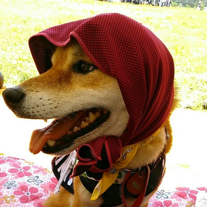 7e5f8a55 419a 4bf0 ac3c 6e962aae0f19 1558922973857