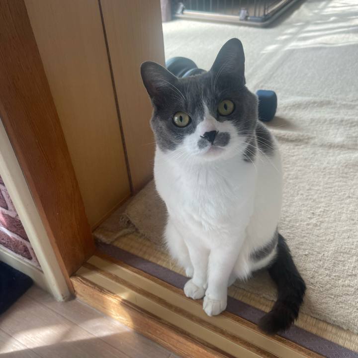 7e5f93c2 f59d 4b39 b6b3 879489ef468e 1678149363410