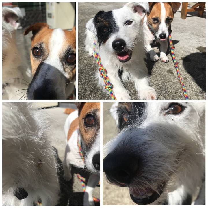 7e5f9e58 b1cc 445b 9391 4f746ec069f1 1534811406660