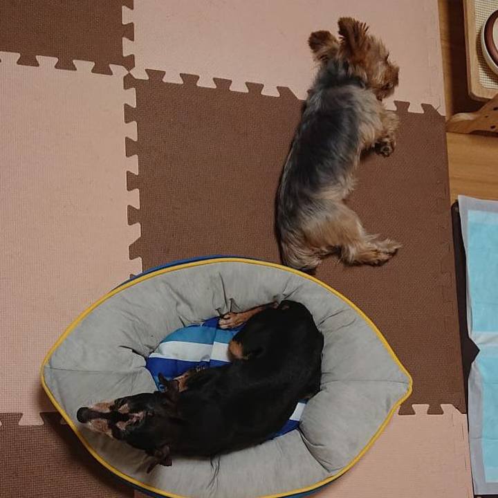 7e5fb9f6 e9f0 4bb3 b921 858fbb3a0a03 1568507373193