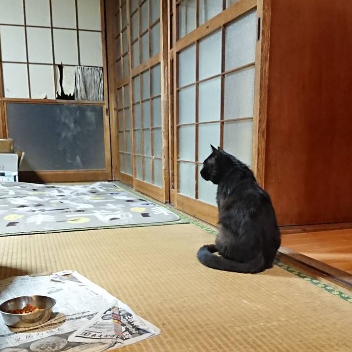 7e5fbfdc 43ae 45b5 ba5b 5b162ce25a2e 1623758523166