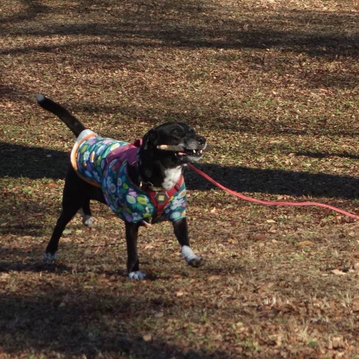 7e5fc76e aa93 4242 9190 0e33685c6c22 1702002733752