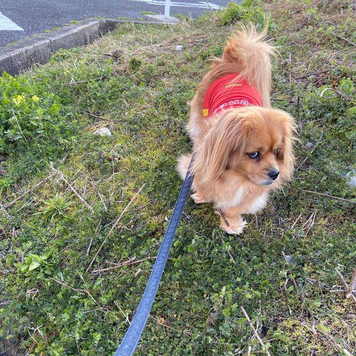 7e5fe805 8565 49c2 a115 0b6895578979 1583446339833