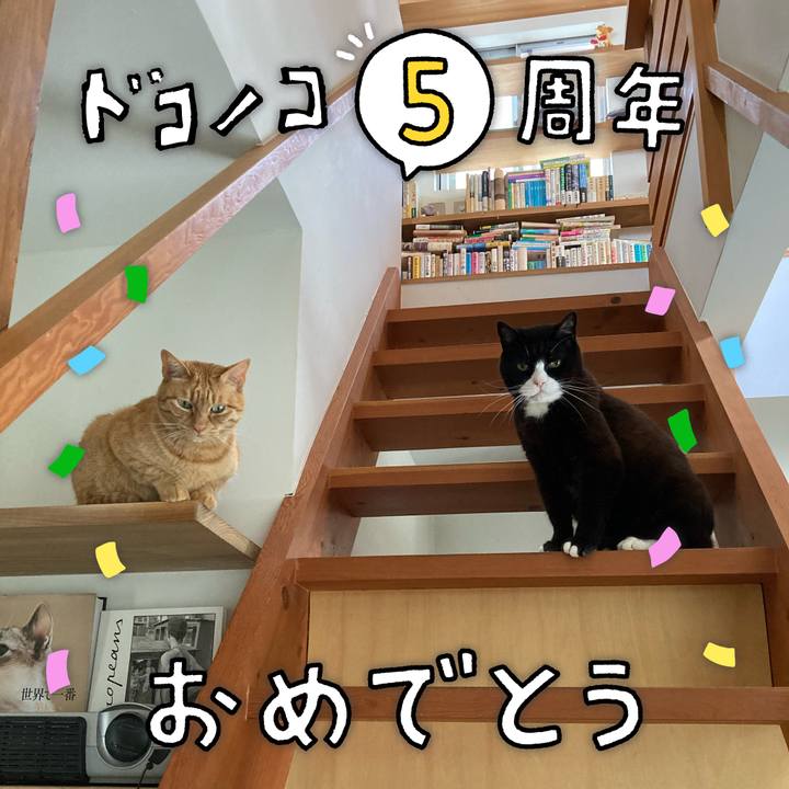 7e603086 0182 41bd 95de 2114340c5588 1622884029861