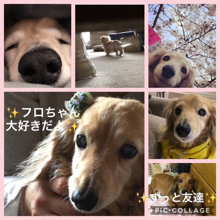 7e604872 78ff 4239 8f61 f14ac1b7a863 1538229451110