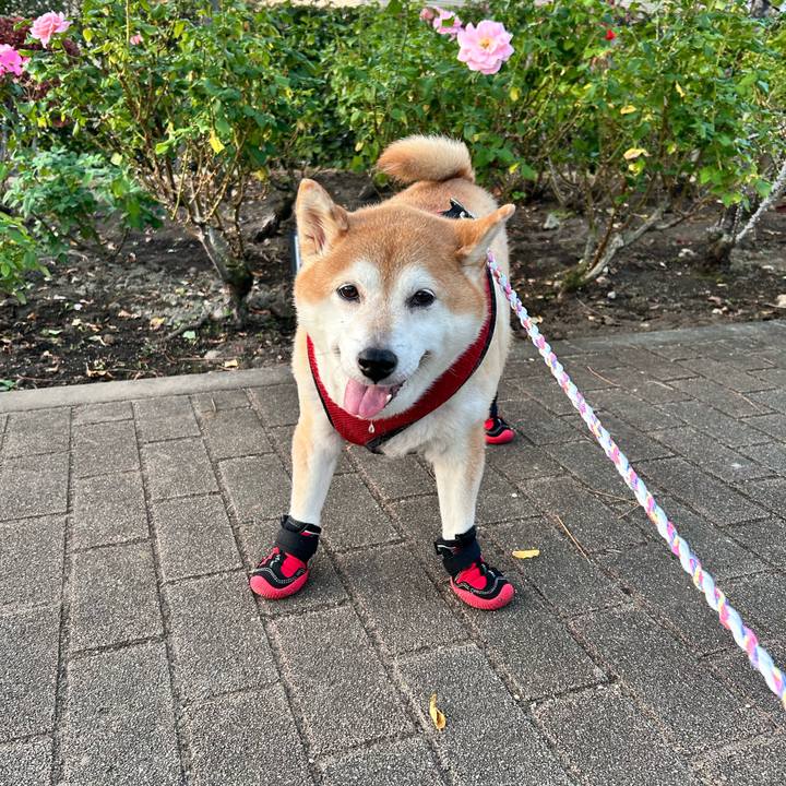 7e604d2f 4846 48e1 b684 da585fa58d01 1731831271461