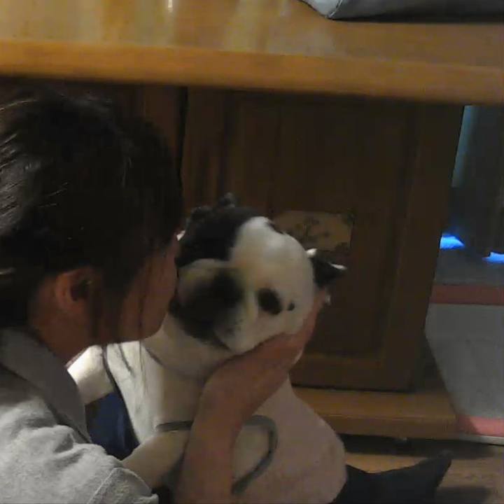 7e604d38 f539 4d45 a5e5 ed755748414a 1628693775831