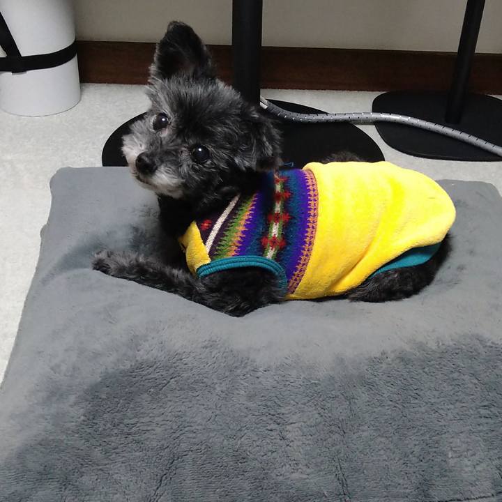 7e6059a9 2fb1 4268 b779 71eaae79df22 1741431788607