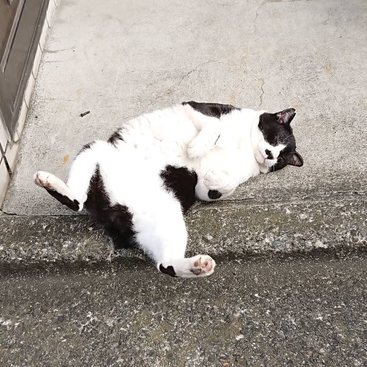 7e606d3b 6508 4c3d 876c 5ab7b4bb1423 1665810980782