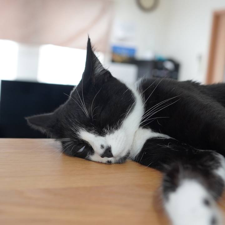 7e6070f0 9390 4224 89e6 e6ee109a8d8b 1591585872532