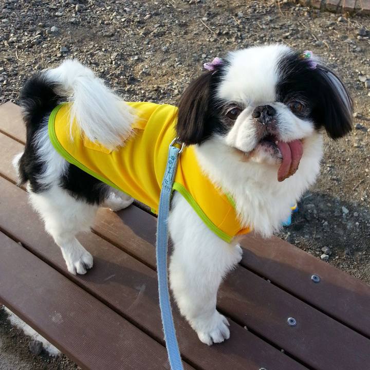 7e609ecf d7fb 4e5f ac1a 239437f0f298 1543488367216