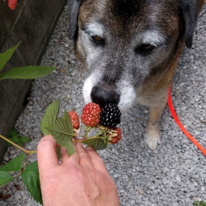 7e60b067 a990 4c3b bd55 e57eefab8bfd 1529724494796