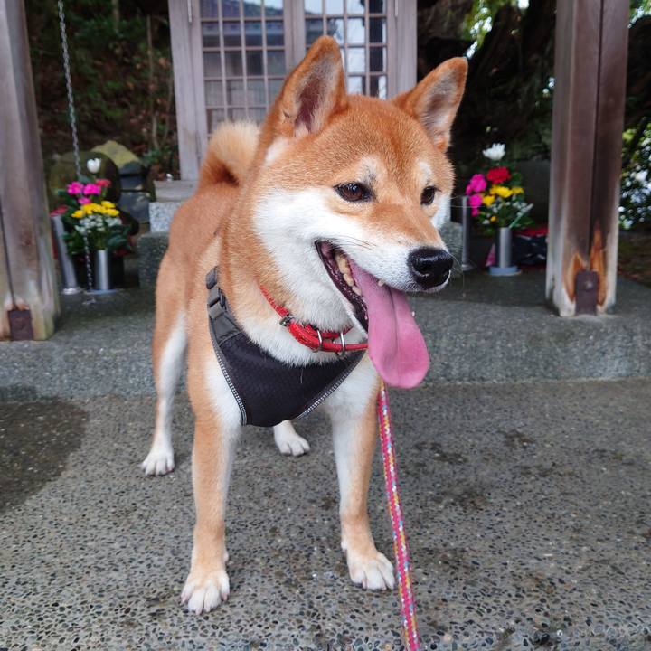 7e60ffce dddc 4af2 894e 34f240a6f9f1 1759633420058