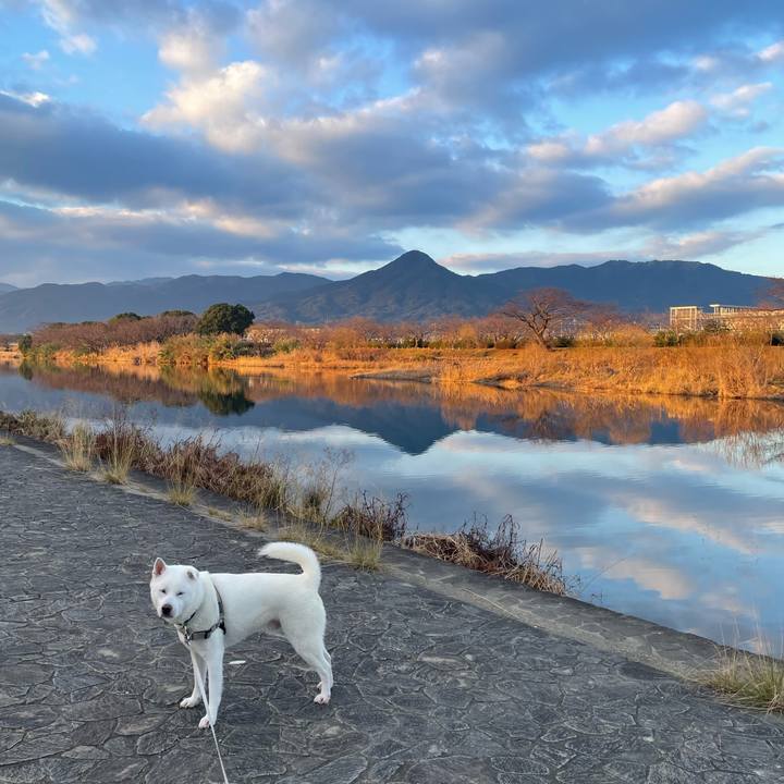 7e611e6b a0fa 433b 9b45 fbf093df761a 1737241223228