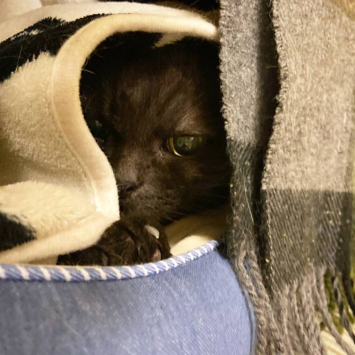 7e617308 9f79 42a0 9744 c5ec775bd495 1645279516472