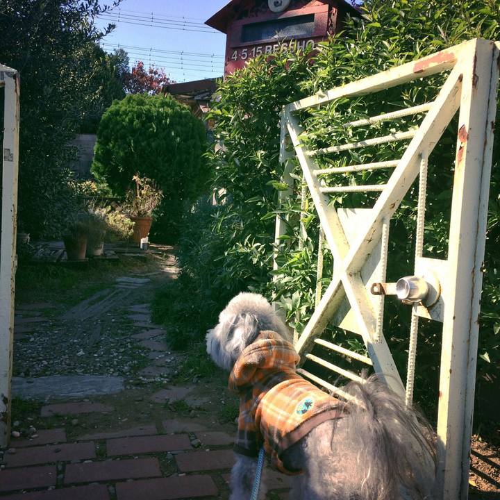 7e61e9f7 f26a 4cbb b3fa 00a0a6b2d2ec 1510470500707