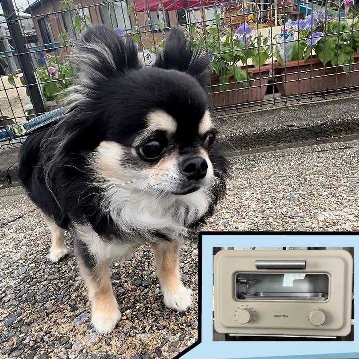 7e61eb44 b844 4852 b327 c836dc784775 1718493739363