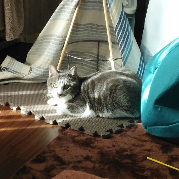 7e61fe03 9502 4943 bdc1 d68a4981dd9b 1573174756521