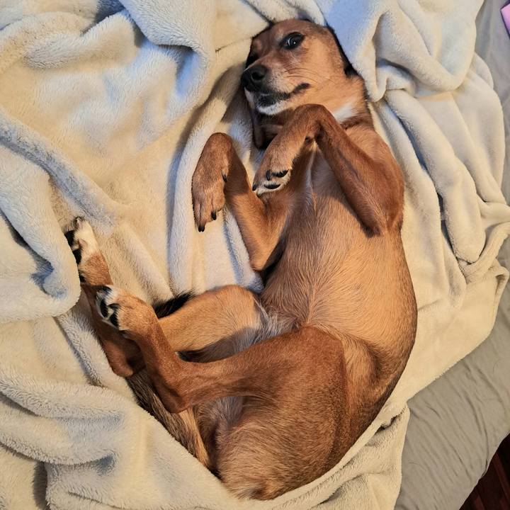 7e6217b9 5307 4666 af53 f74732af8c3e 1760491370482